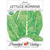 Little Gem Lettuce Seeds (Organic)