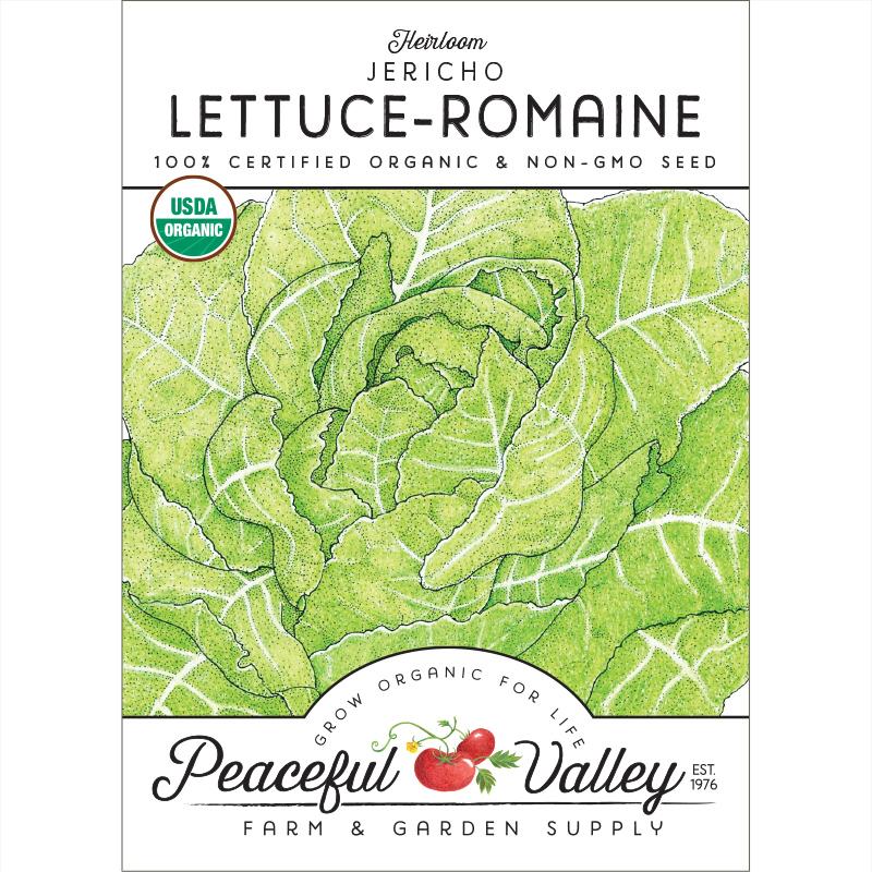 Romaine, Jericho Lettuce Seeds (Organic)