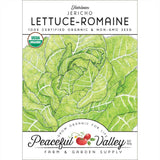 Romaine, Jericho Lettuce Seeds (Organic)