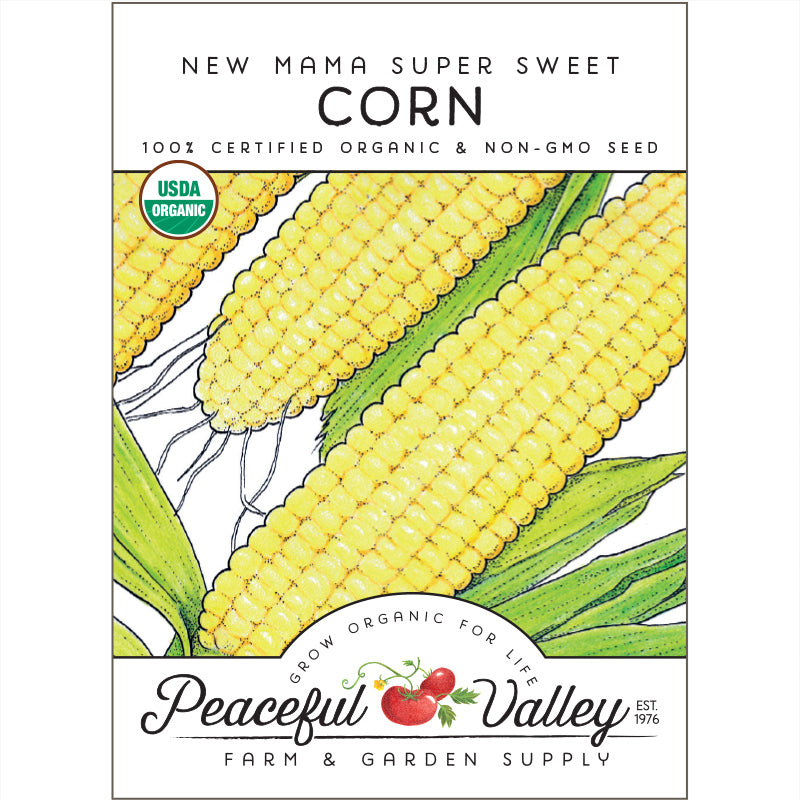 Sweet New Mama Corn