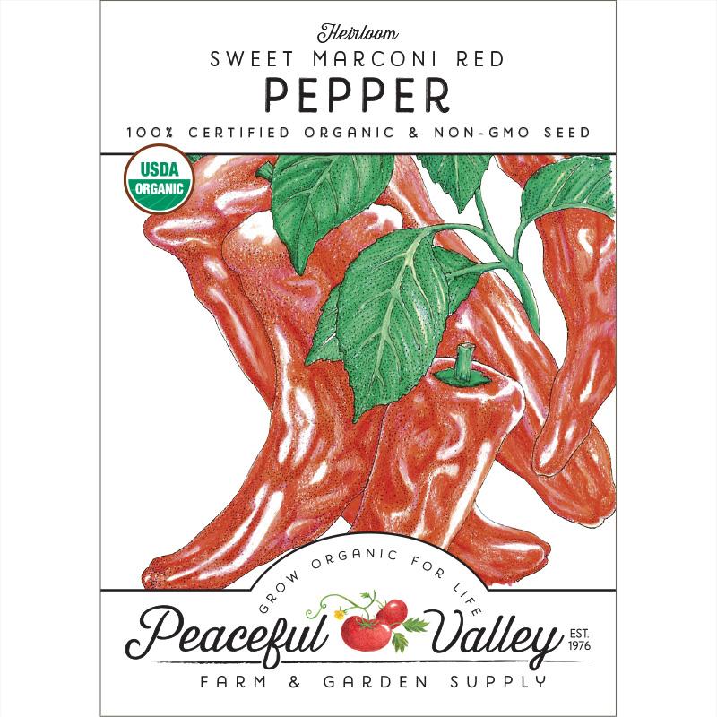 Marconi Red Sweet Pepper Seeds (Organic)