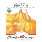 Small Sugar Pumpkin Seeds (Organic)