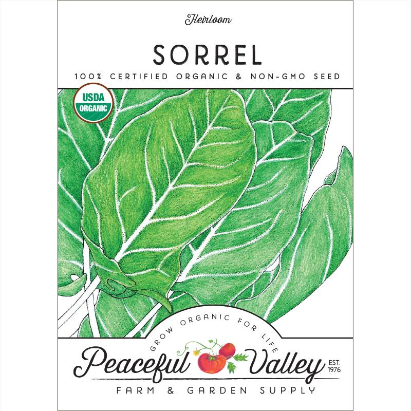 Organic Sorrel