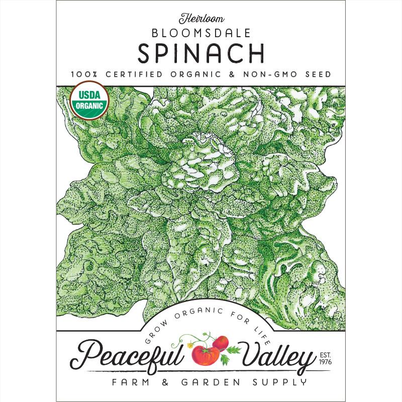 Bloomsdale Spinach