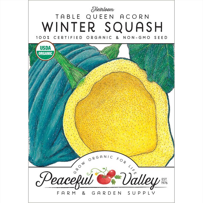 Table Queen Acorn Winter Squash