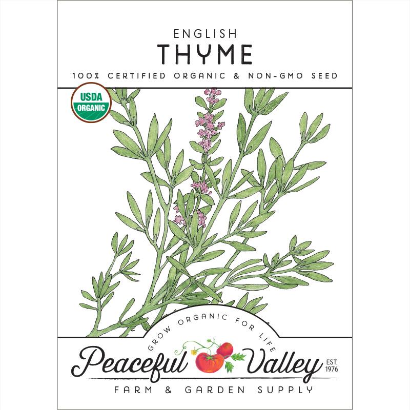 Organic Thyme, English