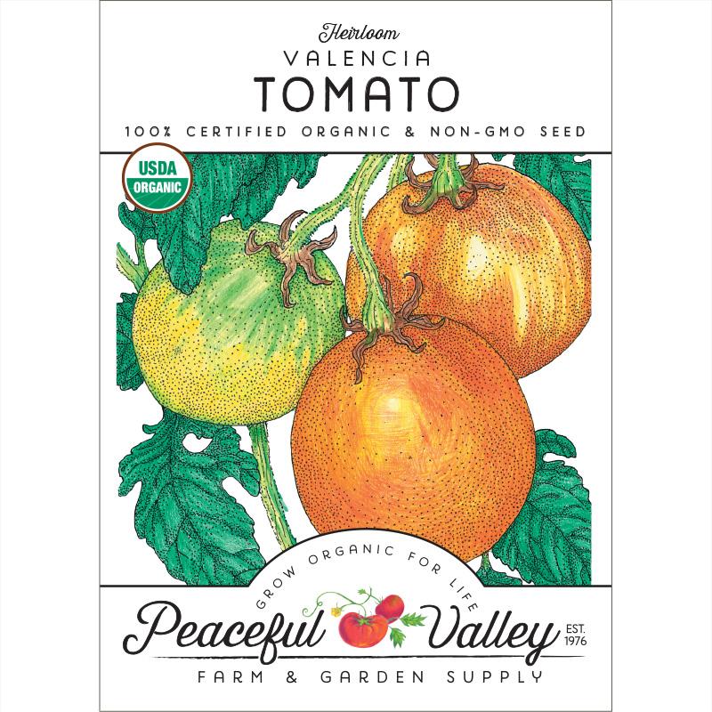 Valencia Tomato Seeds (Organic)