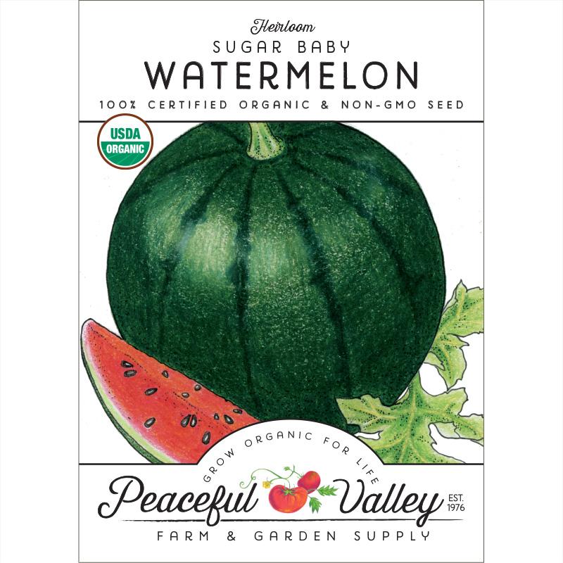 Sugar Baby Watermelon