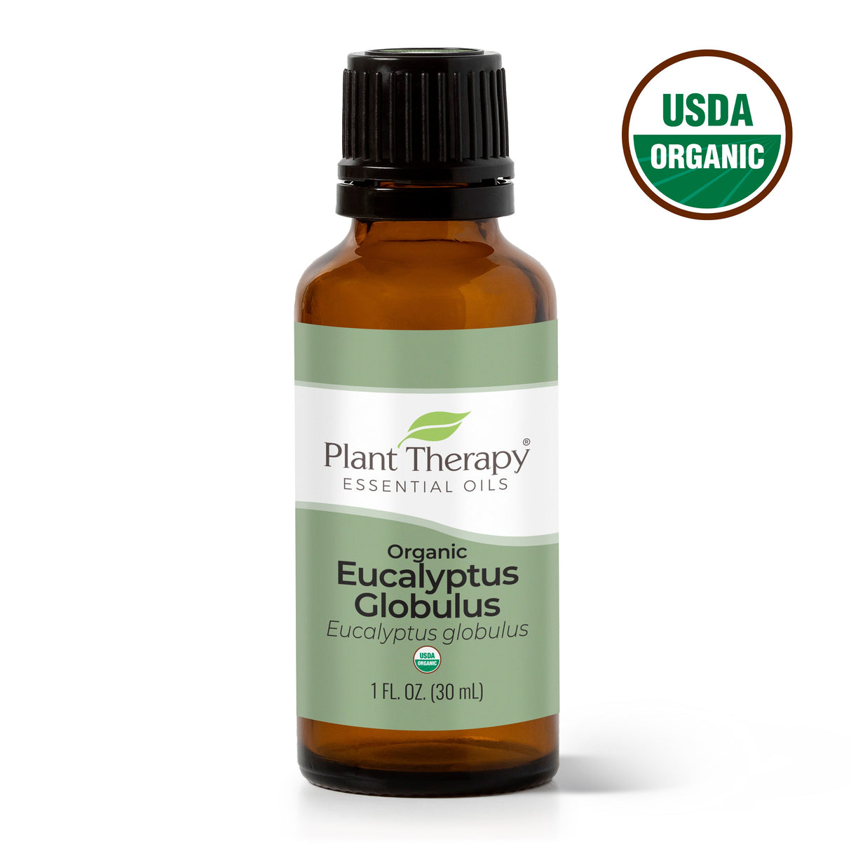 Organic Eucalyptus Globulus Essential Oil