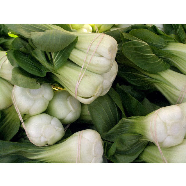 Pak Choi Baby Shanghai Greens Seeds (Organic)