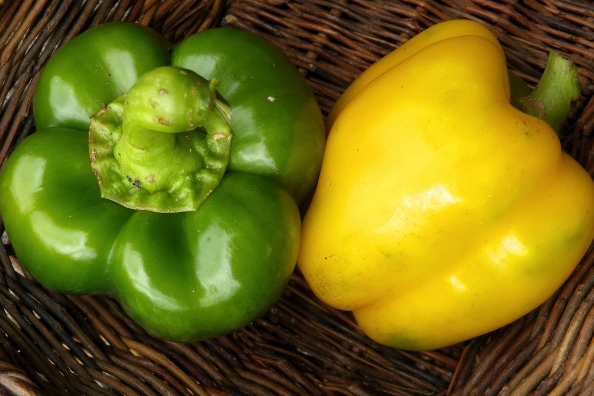 Golden Calwonder Sweet Bell Pepper