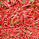 Hot Cayenne Slim Pepper Seeds (Organic)