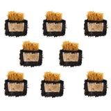 Golden Enoki 'Plant & Grow' Mushroom Starter Block