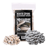 Organic Blue Oyster Mushroom Plug Spawn