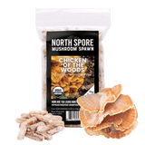 Organic Chicken of the Woods Mushroom Plug Spawn