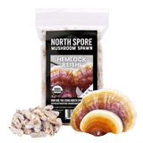 Organic Hemlock Reishi Mushroom Plug Spawn