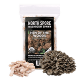Organic Hen of the Woods (Maitake) Plug Spawn