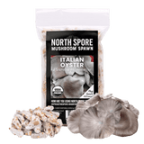 Organic Italian Oyster Mushroom Plug Spawn