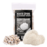 Organic Lion's Mane Mushroom Plug Spawn