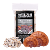Organic Red Reishi Mushroom Plug Spawn