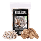 Organic Shiitake Mushroom Plug Spawn