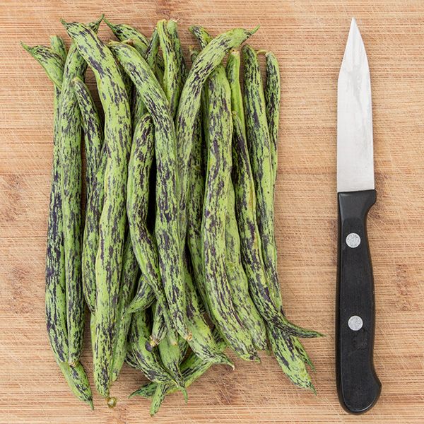 Rattlesnake Pole Bean