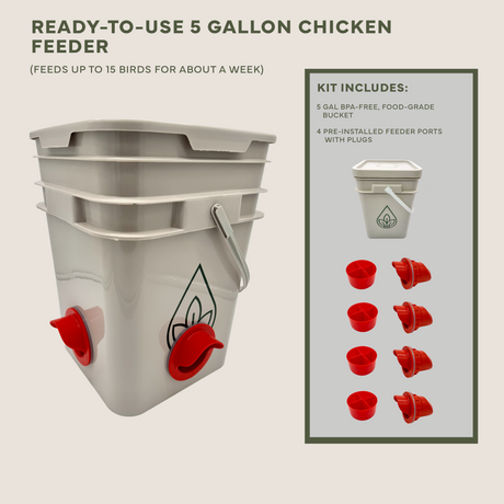 Easy Chicken Feeder and Automatic Chicken Waterer Kits – Chicken Chores Just Got 20X Easier