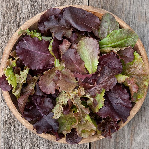 Red Planet Lettuce Blend