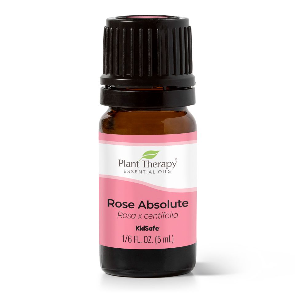 Rose Absolute Essential Oil