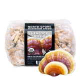 Organic Hemlock Reishi Mushroom Plug Spawn