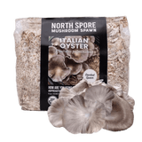 Organic Italian Oyster Mushroom Sawdust Spawn