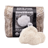 Organic Lion's Mane Mushroom Sawdust Spawn