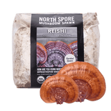 Organic Red Reishi Mushroom Sawdust Spawn