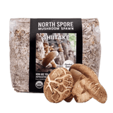 Organic Shiitake Mushroom Sawdust Spawn