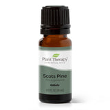 Scots Pine Essential Oil