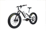 Bakcou Scout E-Bike