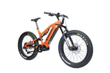 Bakcou Scout E-Bike