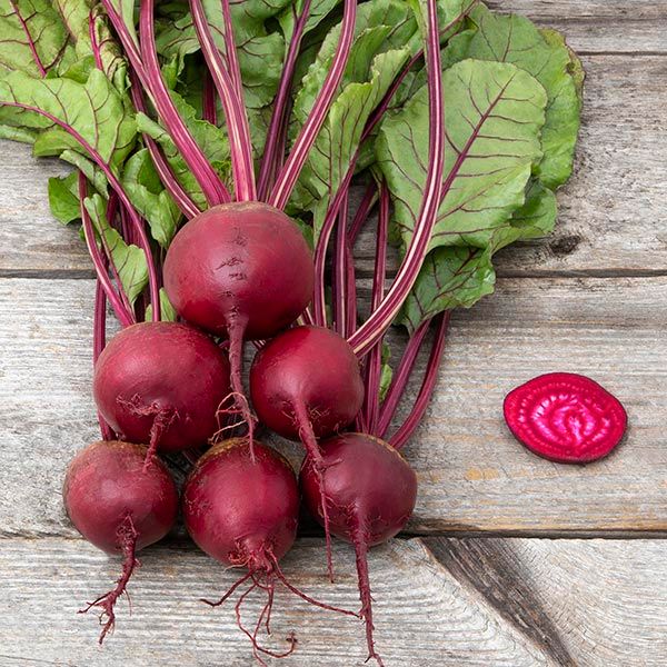 Shiraz Beet