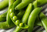 50 SUGAR ANN PEA Stringless Sweet Green Snap Pisum Sativum Vegetable Seeds