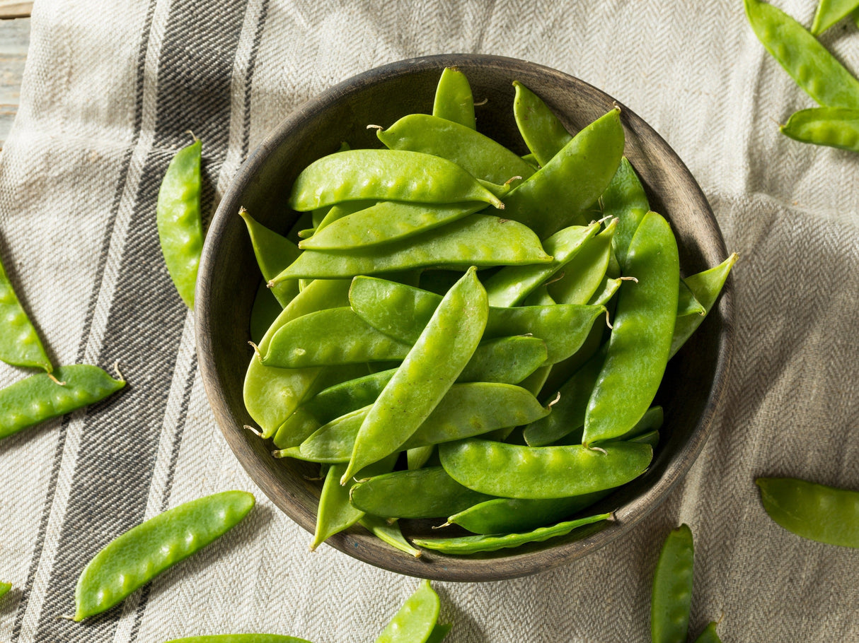 50 Oregon SUGAR POD II Pea Pisum Sativum Macrocarpon Vegetable Seeds
