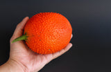 2 GAC FRUIT Gac Melon Vine Momordica Cochinchinensis Seeds