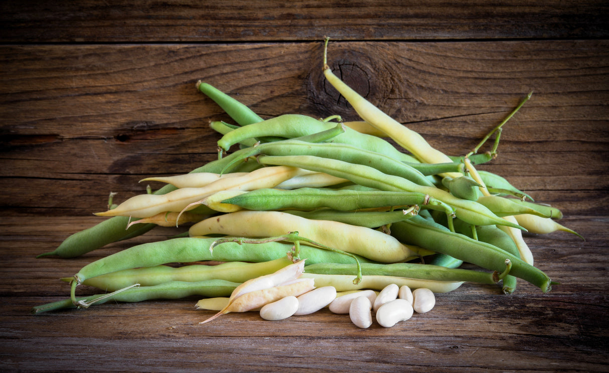30 CANNELLINI BEAN Seeds White Italian Kidney Phaseolus Vulgaris Vegetable Seeds