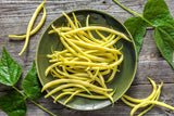 50 ' SLENDERWAX ' WAX BEAN Golden Yellow Bush Phaseolus Vulgaris Vegetable Seeds