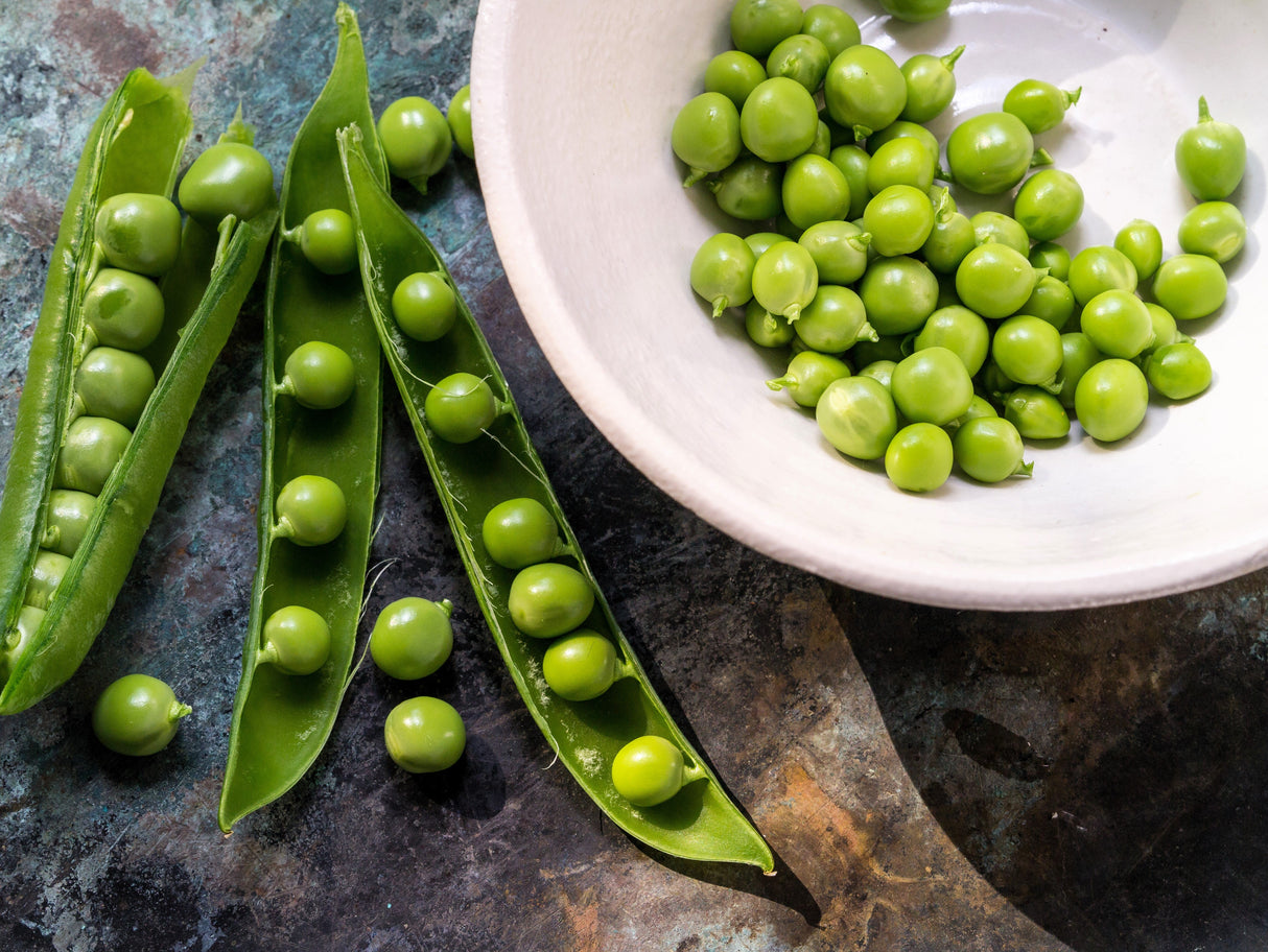 50 Early FROSTY GARDEN PEA English Shelling Pisum Sativum Vegetable Seeds