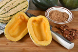 50 DELICATA SQUASH Striped Sweet Potato Cucurbita Pepo Vegetable Seeds