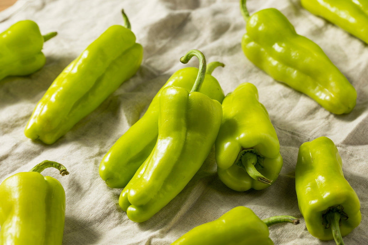 75 CUBANELLE PEPPER (Italian Sweets / Banana Pepper / Italian Frying Pepper) Capsicum Annuum Vegetable Seeds