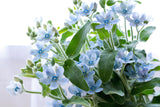 10 TWEEDIA BLUE MILKWEED Southern Star of Argentine Tweedia Caerulea syn. Oxypetalum Flower Vine Seeds