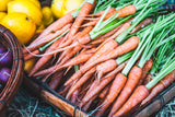 1500 LITTLE FINGERS CARROT Daucus Carota Vegetable Seeds