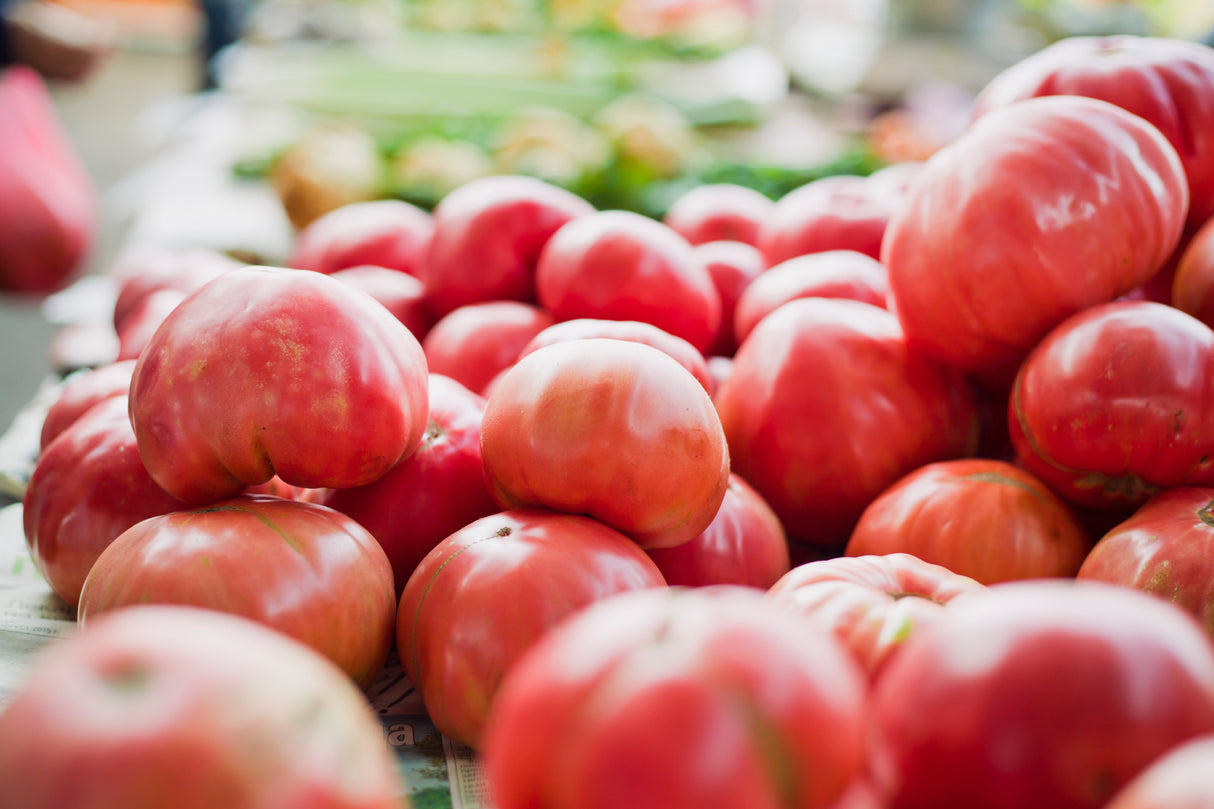 50 Giant BELGIAN PINK TOMATO Huge Pink Skin Lycopersicon Fruit Vegetable Seeds
