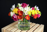 5 ROYAL CHAMPION Mix FREESIA Mixed Colors Pink Blue Purple Yellow Red Orange Flower Seeds